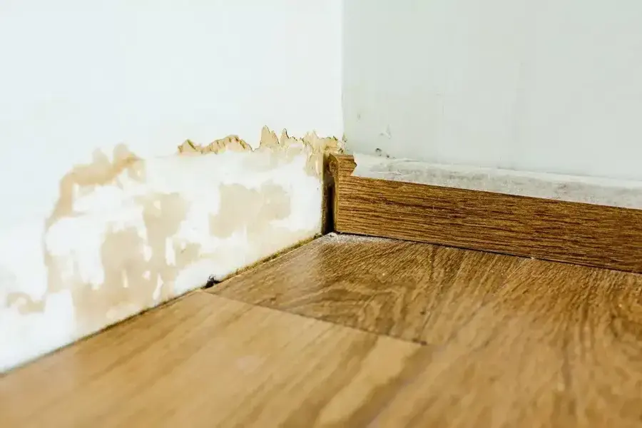 Water stain on the lower wall and baseboard above a wet wood floor in Woodland Hills
