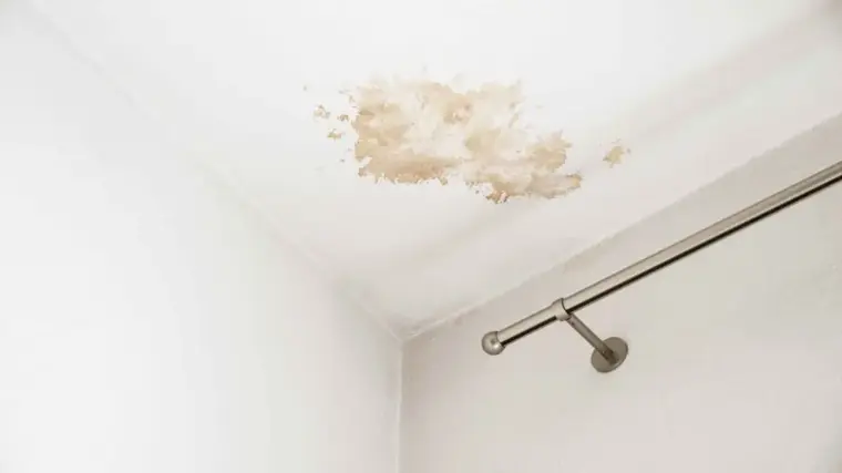 Water stain spreading across a ceiling from a leak in the unit above in a Woodland Hills condo