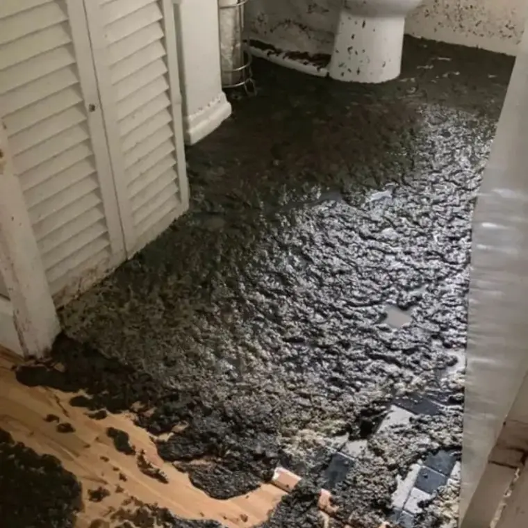 Dark sewage water and sludge covering a bathroom floor after a sewer backup